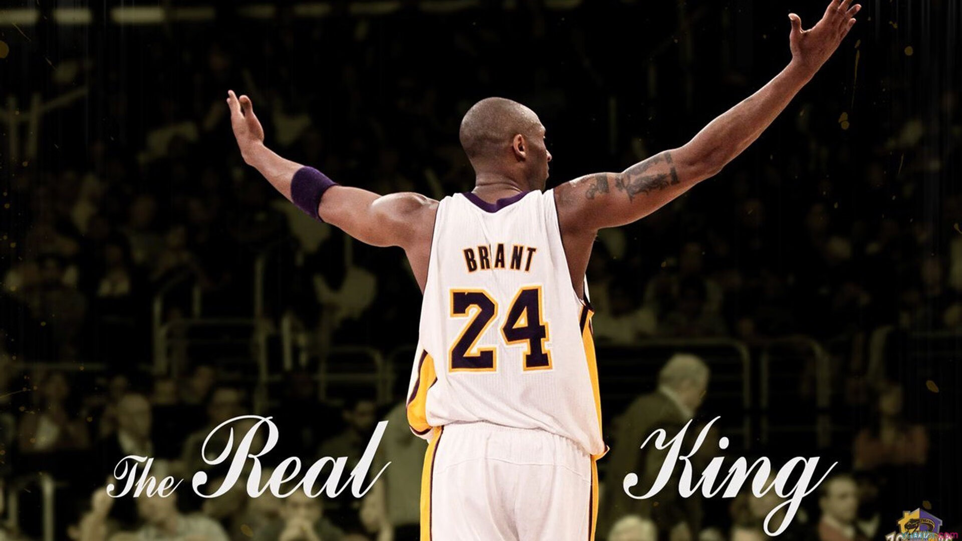 mk sports 体育-世界杯难忘经典：让人难以忘怀的瞬间！，世界杯震撼的场景